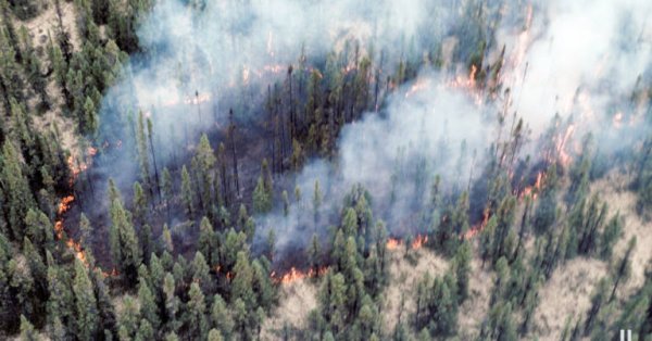 Le point sur les feux de forêt au Québec
