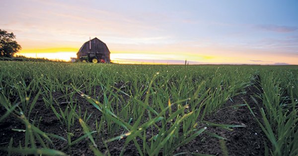 Le Québec est le leader canadien de l’agriculture biologique